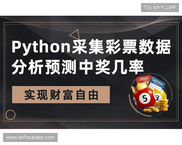 精准彩票数据查询平台助您轻松掌握历史走势规律
