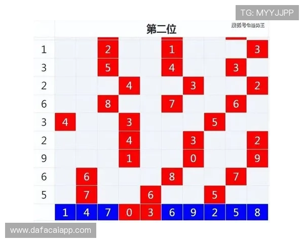 精准分析与策略指导助您制定高效彩票投注方案